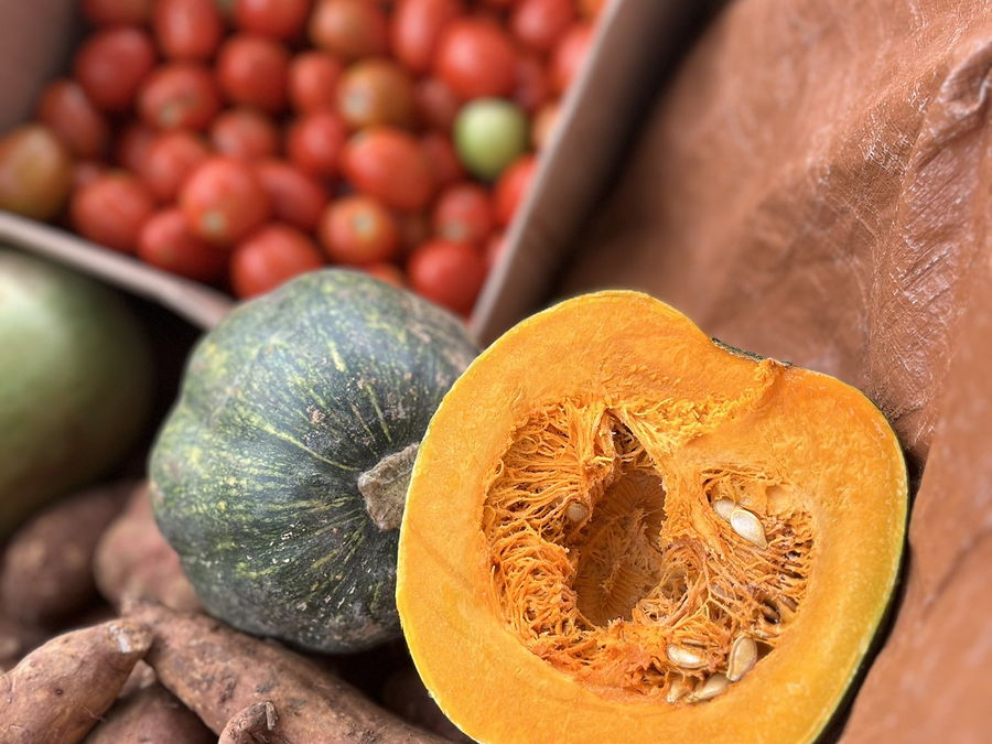 Citrouille coupée, patates douces et tomates réunies après la récolte