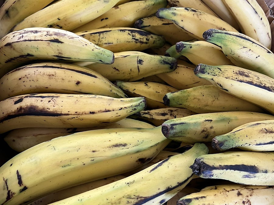 Banane plantain, au rayon fruits d'OKO LANQ
